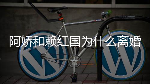 么离国离赖弘谈与阿娇阿娇因和赖红国婚 婚原为什